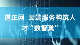 道正网  云端服务构筑人才“数智巢”